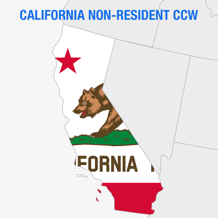 Non-Resident California CCW Online Class